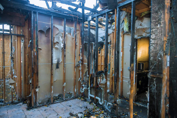 Professional Smoke Damage Removal technician working in Victoria, VA