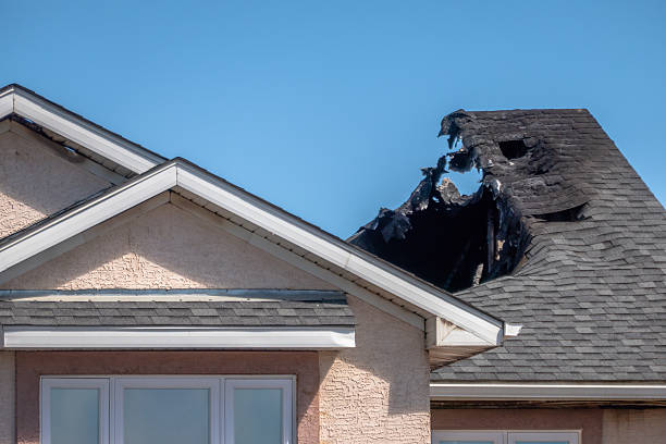 Top rated local Smoke Damage Removal specialists in Victoria, VA